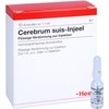 Cerebrum Suis INJEEL 1.1 ml Pack of 10