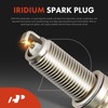 A-Premium (Blue) Set of 8 Ignition Coil Pack and Iridium