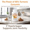 Elm & Herb Pure Turmeric Curcumin 95, Elm and Herb