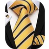 HISDERN Yellow Ties for Men Silk Striped Tie and Pocket