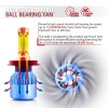 SHENKENUO 4x H4 H11 Combo LED Headlight Fog Light Bulbs