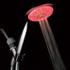 Luminex by PowerSpa 7-Color 4-Setting LED Handheld Shower Head with