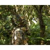 Tencen Ghillie Suit, Survival Game, Camouflage, Mesh, Hooded, One Size,