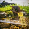 AMONENZ Pack of 2 Honeycomb Bee Ladder, Plastic Bee Station,