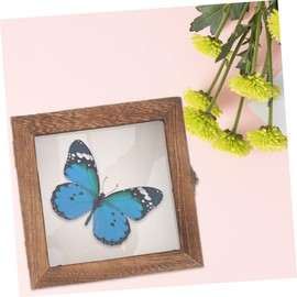 MUSISALY Display Box for Butterfly Samples, Storage Case for Samples, Display Case, Jewellery Storage Box, Jewellery Storage Box, Dry Flowers, Display Stand, Sample Frame