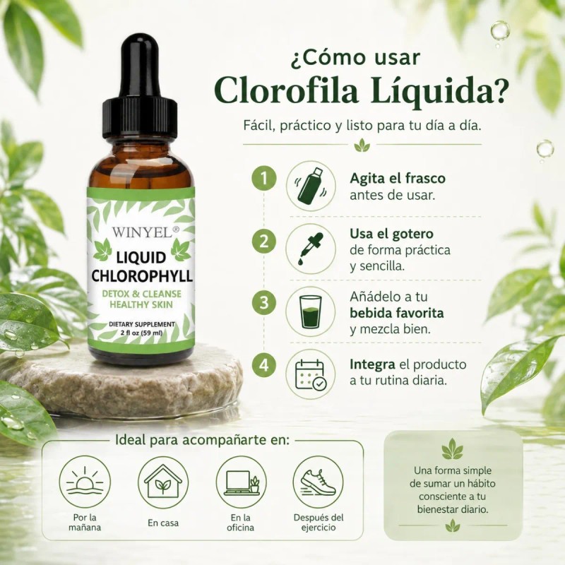 Suplemento De Clorofila Líquida Con Gotero Diario En Gotas