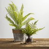Primitives by Kathy Fern Glass Jar Planter