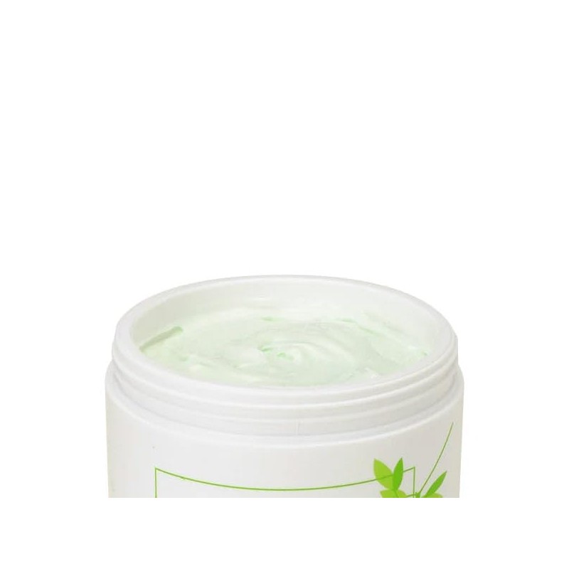Green Tea Massage Cream 15.9 oz (450 g)