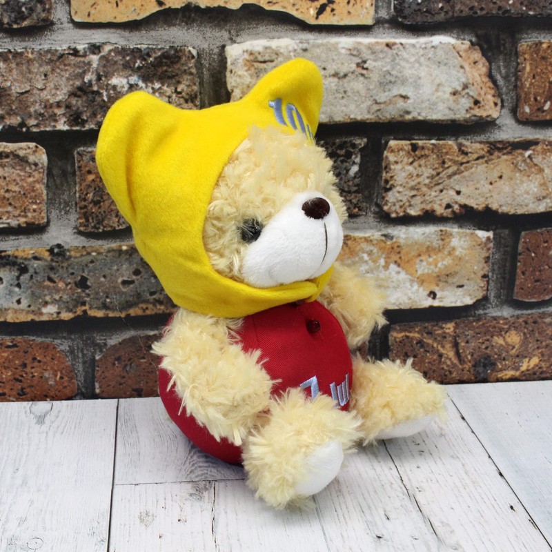 BEAR'S365 Birthday Bear Hat, Birthday Hat (10 Days)