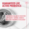 Royal Canin Probiotics for Cats Digestive and Immune Health Powder
