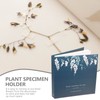 Alipis Dried Flower Storage Scrapbook Loose Leaf Album Leaf Embossing