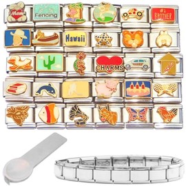 Set of 30 Italian Charms Plus Stainless Steel Starter Bracelet and Charm Tool - Sports, Butterfly Beach, Car, Dance, Bunny, and More 9mm Bracelet Links