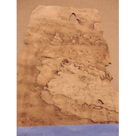 Pimento Pepperwood Nogal Burl Wood Veneer 13" x 23" raw Veneer no Back 1/42"