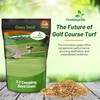 Outsidepride T-1 Creeping Bentgrass Seed - 5 lbs Fine-Bladed, Premium