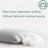 Gooeb Flat Ultra Thin Bed Pillows Standard Size Pillow Set