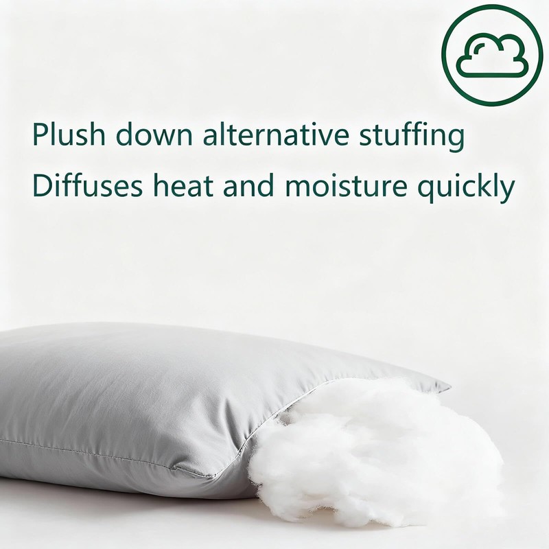 Gooeb Flat Ultra Thin Bed Pillows Standard Size Pillow Set