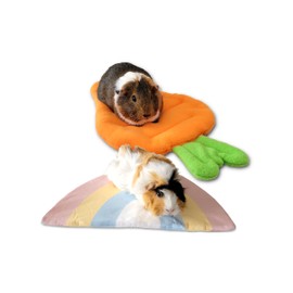 2 Pack Guinea Pig Bed Mat Washable Pee Pad, Fleece Bedding for Rodent, Reusable Cage Liner for Rabbit or Small Animal (Carrot & Rainbow)