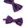 Alizeal Mens Solid Color Bow ties Polyester Pre Tied Wedding