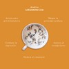 Nuestra Raíz | Cardamomo Chai - infusión blend con Té