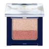 Integrated Gracie Finger Painted Gradation Eye Shadow RD1 Gray Red