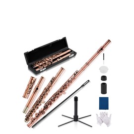 AKLOT Closed-Hole Concert C Flute: Flute Instrument with 16 Keys, Offset G, Smooth Cupronickel Keys, Air-Tight Pads, Include Stylish Leather Hard Case, Cleaning Kit, Stand, Joint Grease (LUM-CE)