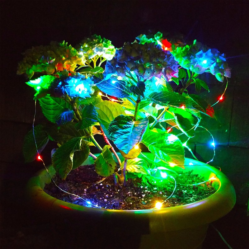 Hometown Evolution, Inc. Fairy Lights - Battery Operated with Remote