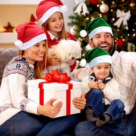 SATINIOR 16 Pieces Christmas Hat Bulk Santa Claus Hat Xmas Non Woven Fabric Hat for Christmas Adult(Green and Red, 12 x 16 Inch)