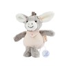 Sterntaler Emmi Girl Small Donkey Music Box Flora Rose