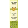 Ancient Tree Olive Oil Extra Virgin Cold Pressed, Unfiltered Imported