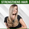 CHI Tea Tree Oil Soothing Scalp Spray, Moisturizing Spray For