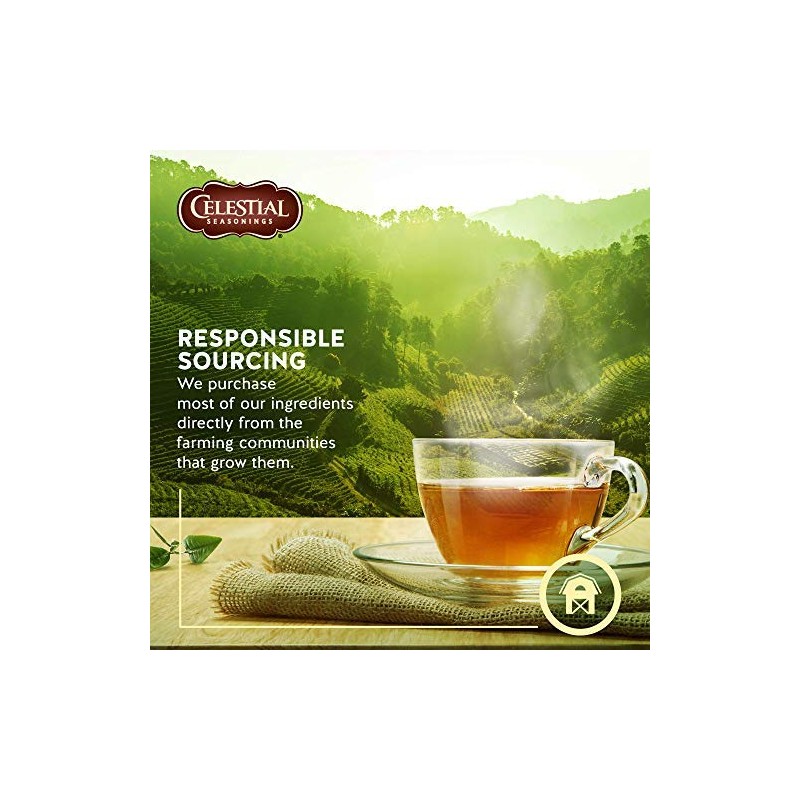 (2 Pack) - Celestial Seasonings - Bengal Spices Tea |