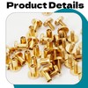 Zhooooonglf Brass Chicago Screws 8×4×6mm 20Pack Rivets Bookbinding Stud Screws