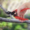 Agricultural Vegetables Fruits Pruning Shears Bonsai Pruner Picking Scissors Gardening