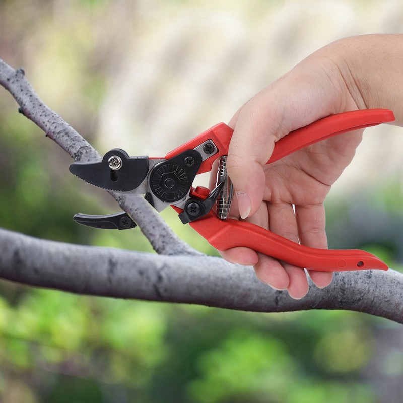 Agricultural Vegetables Fruits Pruning Shears Bonsai Pruner Picking Scissors Gardening