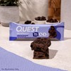 Quest Nutrition Overload Protein Bars, Chocolate Explosion, 20g Protein, 1g