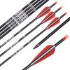 ELONG 12PCS 30" Arrows for Compound Bows,Carbon Hunting Arrows for