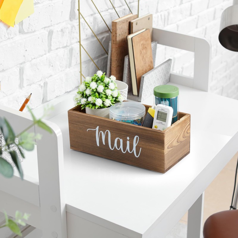 DRASTAR Mail Organizer Countertop, Mail Holder with 3 Slots, Mail