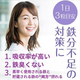 NANOTONE Fe フェリチン鉄【1日分の鉄分補給】鉄分 サプリメント フェリチン鉄サプリ ナノリポソーム鉄 鉄9ｍｇ 90粒 1袋