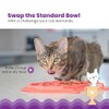 Petstages Fishie Fun Feed Mat - Comedero Lento para Gatos