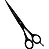 Tips&Toes Hair Cutting Scissors 6.5 inches - Japanese 420 J2