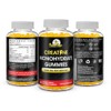 Flamingo Supplements Suplemento gomoso de creatina masticables preentrenamiento con monohidrato