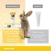 Alfavet ManukaSan Natural Nourishing Honey Ointment for Dogs, Cats and