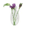 Made by Humans Large Oval Acrylic Window and Wall Vase,