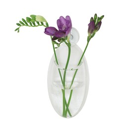 Made by Humans Large Oval Acrylic Window and Wall Vase, 7.5-in x 3.5-in