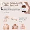 Aceite de Cyperus rotundus, Cyperus, aceite natural 100% puro para