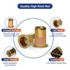 HiamnfLiiy 10-24UNC Rivet Nut，130 Pieces SAE Flat Head Rivnuts,Zinc Plated