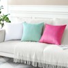 Artscope Luxury Velvet Pillow Covers Decorative Square Pillowcases Soft Solid