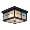 FTL Motion Sensor Outdoor Ceiling Light 2-Lights Flush Mount Ceiling