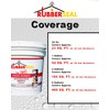 Liquid Rubber Waterproofing and Protective Coating, Rubberseal (1 Gallon, White)