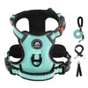 IVY&LANE No Pull Dog Harness with Leash Set, Reflective No